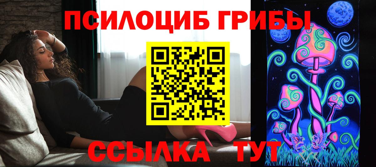 Псилоцибиновые грибы GOLDEN TEACHER Псков