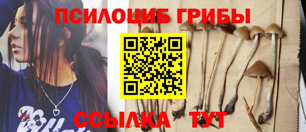 дарнет шоп  Вход с VPN  Псков  Псилоцибиновые грибы прущие грибы 